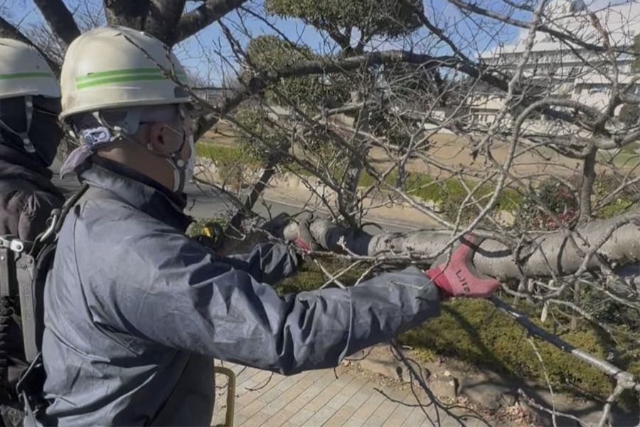 一歩ずつできることを増やしていく仕事です